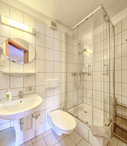 Bathroom 5, Hotel Elbparadies, Sächsische Schweiz-Osterzgebirge