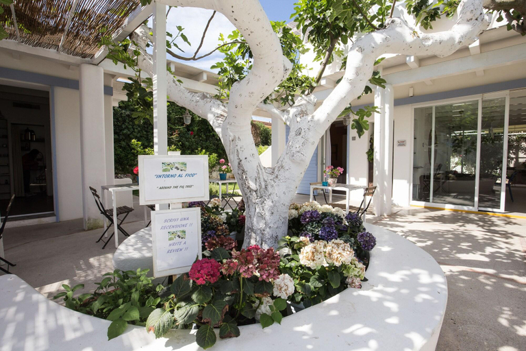 Public Area 2, Intorno al Fico Hotel, Roma