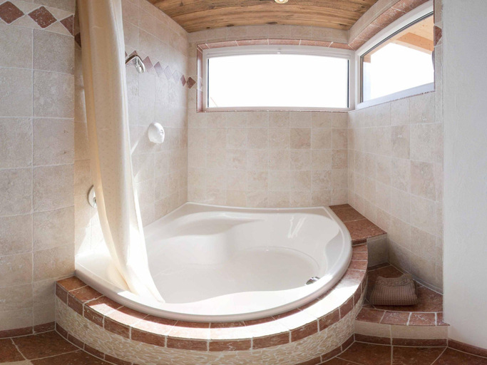 Bathroom 4, Alpe Fleurie, Aigle