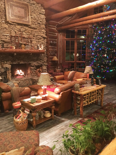 Public Area 2, Wildberry Lodge, Buncombe