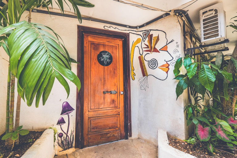 Public Area 3, Pura Vida Hostel, Santa Cruz