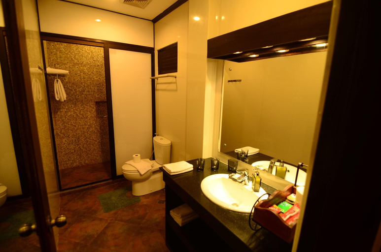 Bathroom, Dahilayan Forest Park Resort, Libona