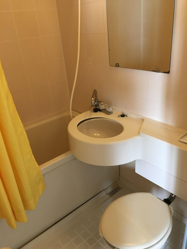 Bathroom 5, Hotel South Island, Miyakojima