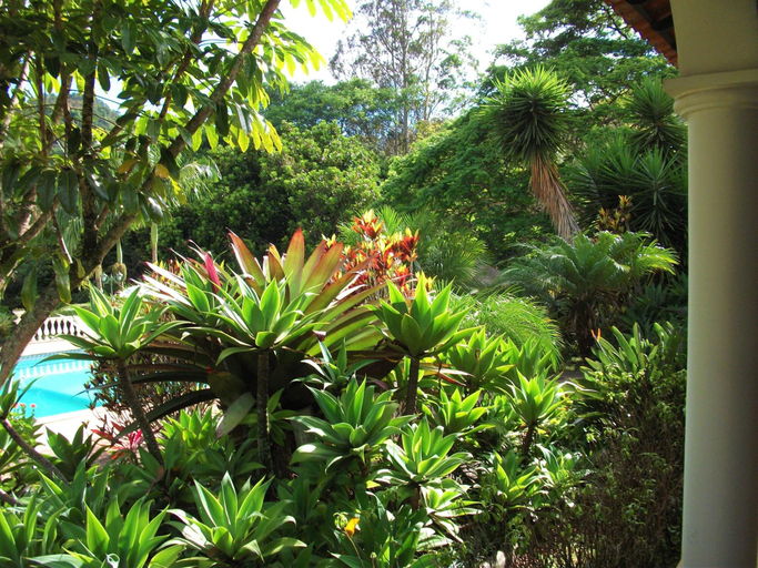 Exterior & Views 2, Ninho Da Arara, Petrópolis