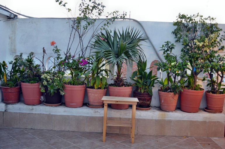 Exterior & Views 2, Alexandross Hostel BnB, Puerto Vallarta