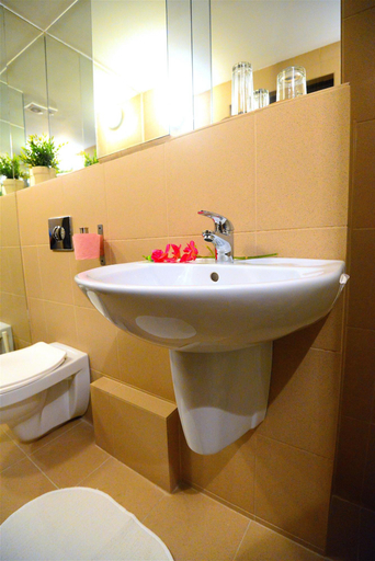 Bathroom 4, Hotel Biscuit, Cluj-napoca
