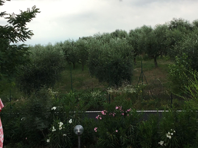 Exterior & Views, B&B Villa Roncatti, Verona