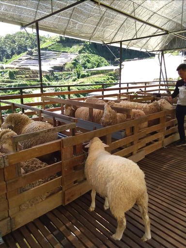 Public Area 2, Kea Valley Hotel Apartment, Cameron Highlands