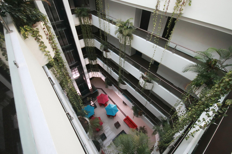 Public Area 3, Paris Fc Hotel, Tihuatlán