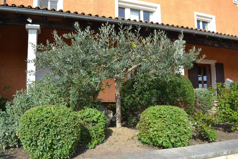 Exterior & Views 2, Hôtel Saint Geniès, Gard