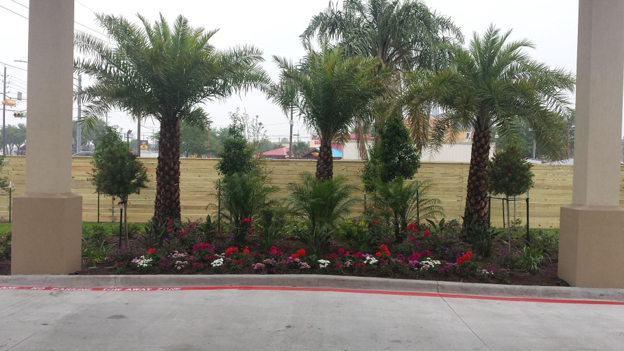 Public Area 2, Palace Inn 290 & Jones Rd, Houston