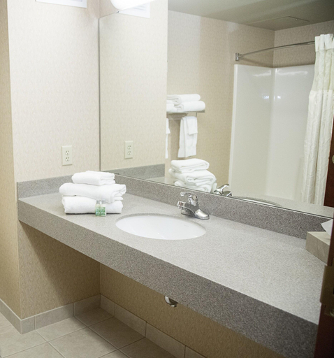 Bathroom, Grand Hinckley Inn, Pine