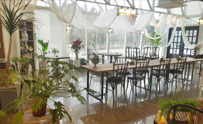 Food & Drinks, The Gallary, Jeju