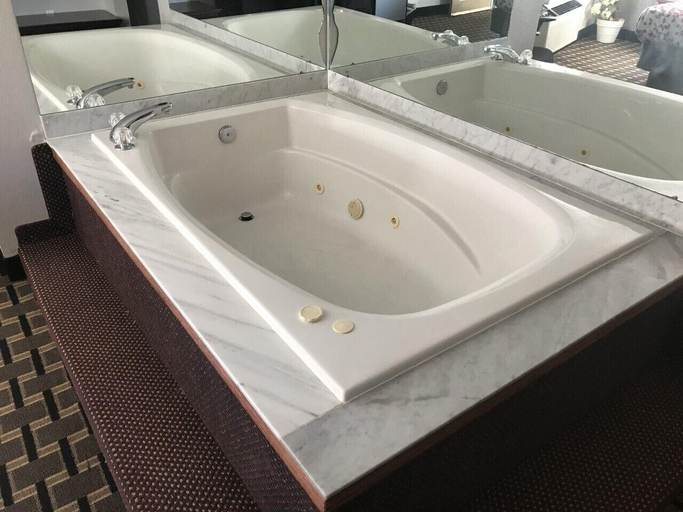 Bathroom 4, Western Motel, Thomas