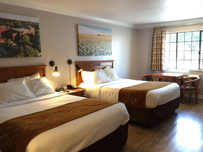 Sport & Beauty 5, Journey Inn, Yolo