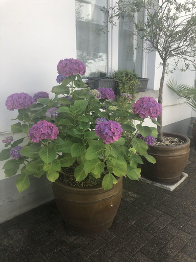 Bensons Hotel, Städteregion Aachen