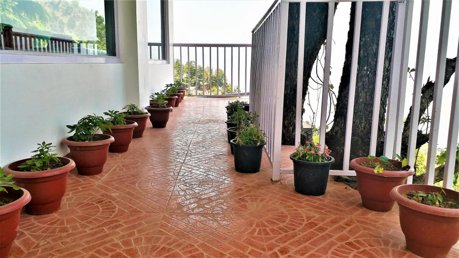 Public Area 2, The Mountain Quail, Dehradun