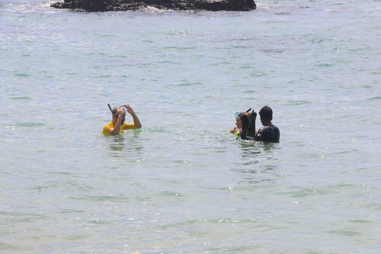 Others 5, Akash Villa, Weligama