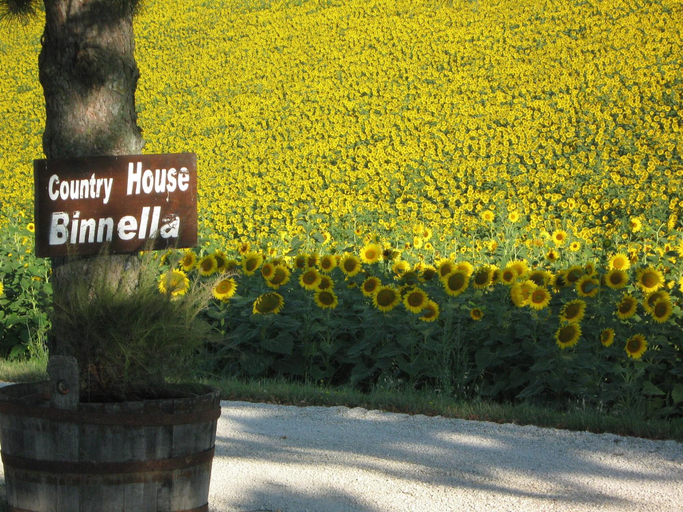 Exterior & Views 2, Country House Binnella, Macerata