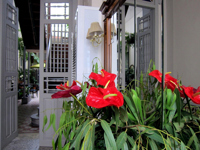 Public Area 3, Old Chocolate Factory+, Las Palmas