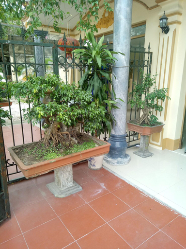 Public Area 2, Tai Hoa Motel, Thanh Hóa City
