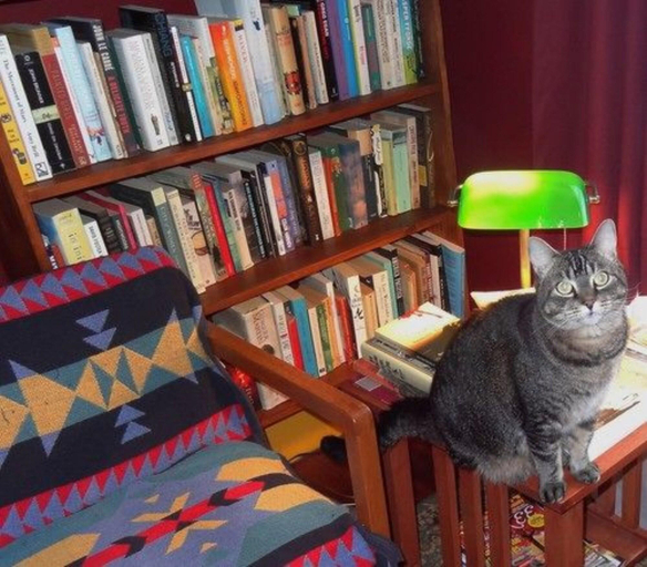 Public Area 2, The One Cat B&B, Windham