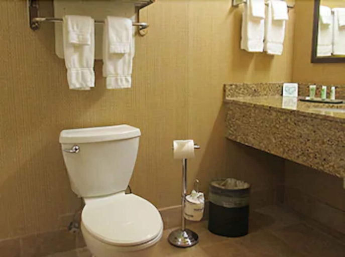 Bathroom 4, Canal Park Lodge, Lake Superior