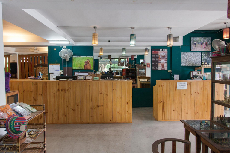 Public Area, INA House, Muang Chiang Mai