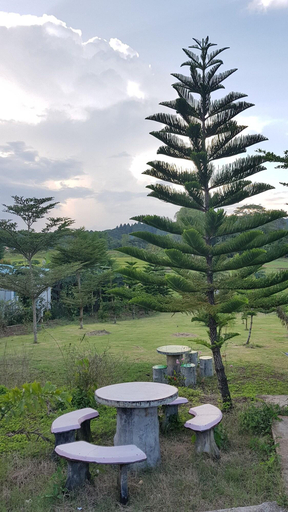 Others 4, Tonkaew Khaokho Resort, Khao Kho