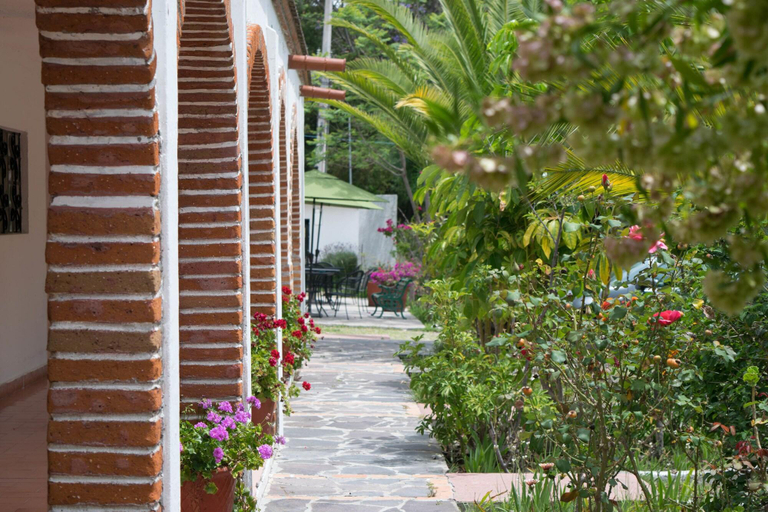 Public Area 2, Hotel RV Park San Ramon, Allende