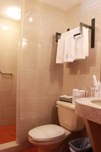 Bathroom 4, Hotel de la Paz, Guanajuato