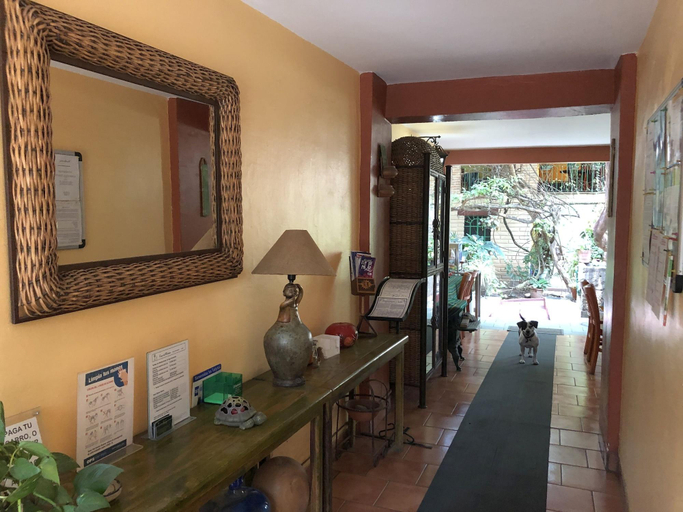Public Area 2, Casa del Retoño, Tlaquepaque