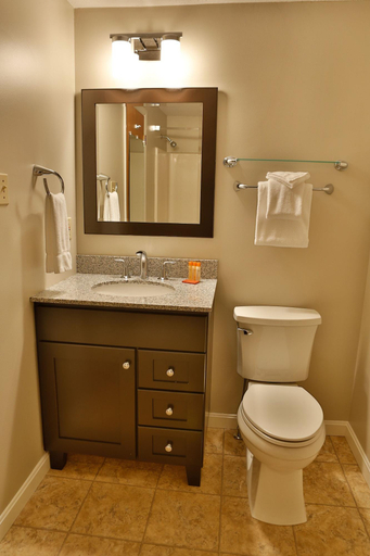 Bathroom 5, The Naswa Resort, Belknap