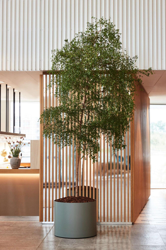 Public Area 5, Alsik Hotel & Spa, Sønderborg