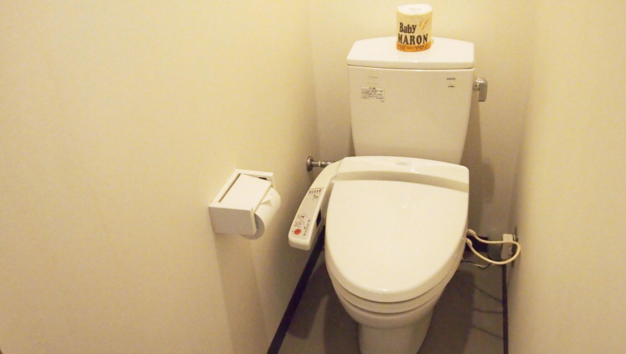 Bathroom 3, Kasugai View Hotel, Fuefuki