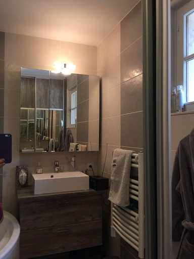 Bathroom 3, Le Mas Dauphinois, Isère
