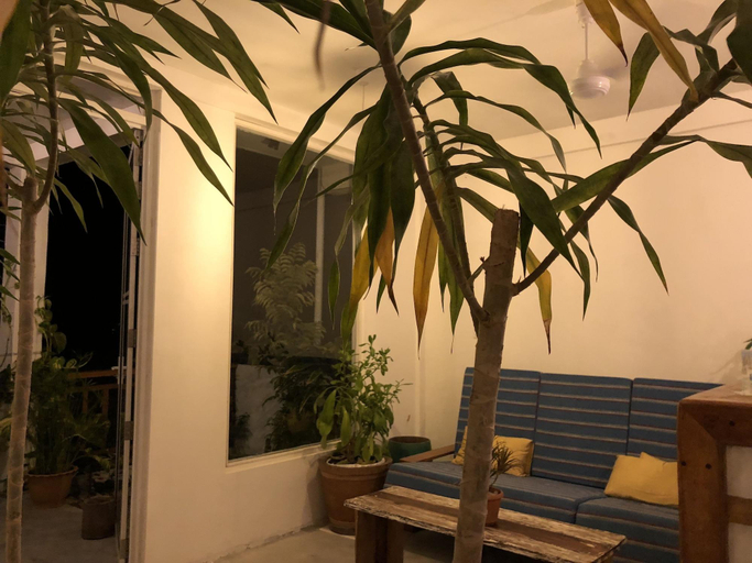 Public Area, Islandbreak, Vaavu Atoll