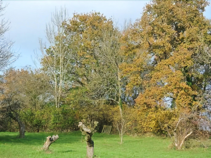 Exterior & Views 2, Rosebank Bed & Breakfast, East Sussex