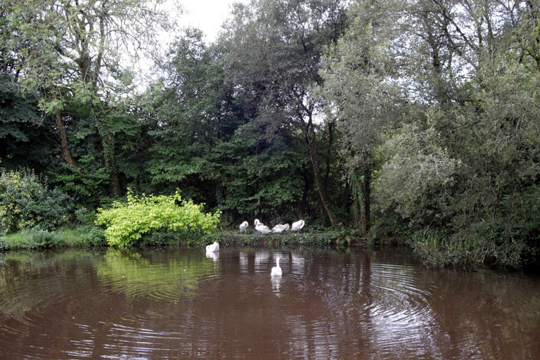 Sport & Beauty 3, Fferm Y Felin, Carmarthenshire