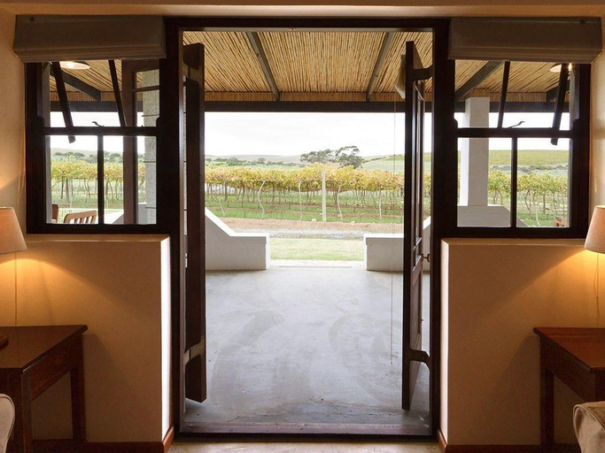 Public Area, Endless Vineyards at Wildekrans Wine Estate, Overberg