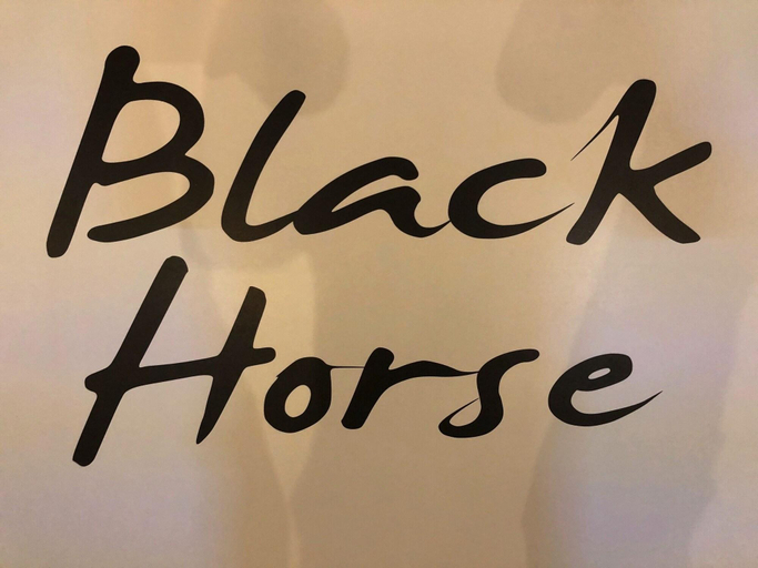 Public Area, Black Horse, Lincolnshire