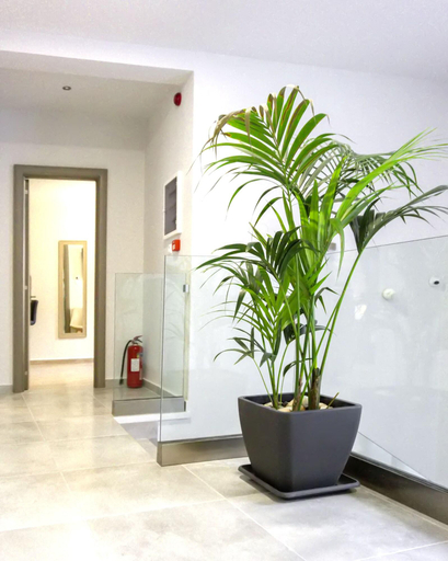 Public Area 3, Pallada Athens Boutique Rooms & Apartments, Attica