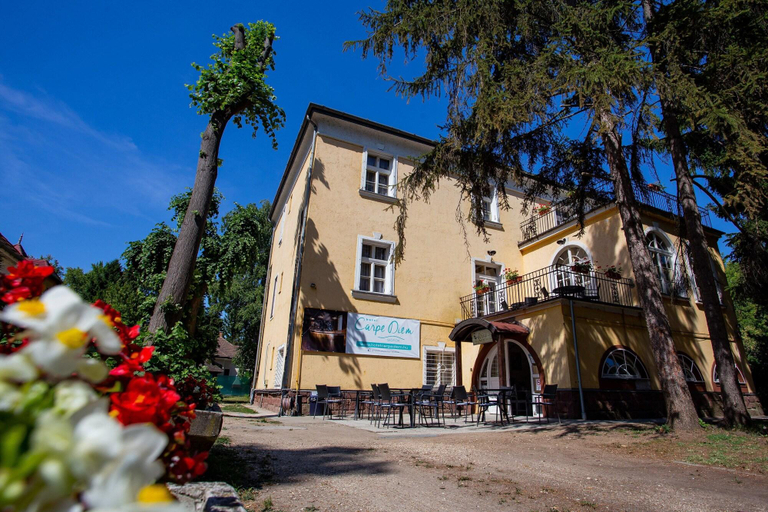 Exterior & Views 2, Villa Carpe Diem, Siófok