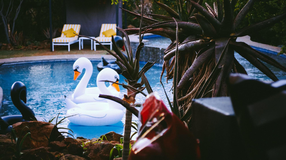 Sport & Beauty 3, Thaba Eco Hotel, City of Johannesburg