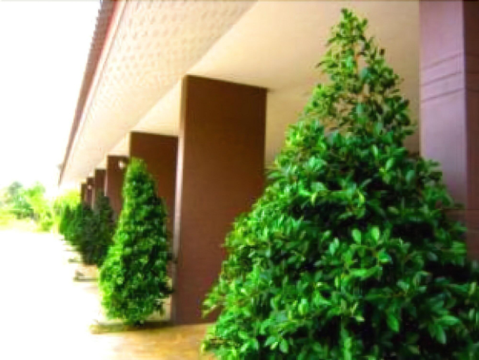 Public Area 3, Pran Heaven Resort, Pran Buri