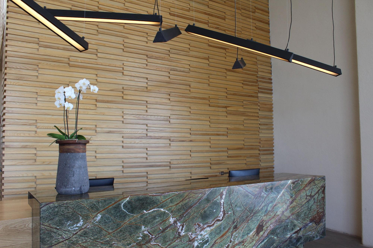 Public Area 3, Hotel México Plaza Querétaro, Querétaro