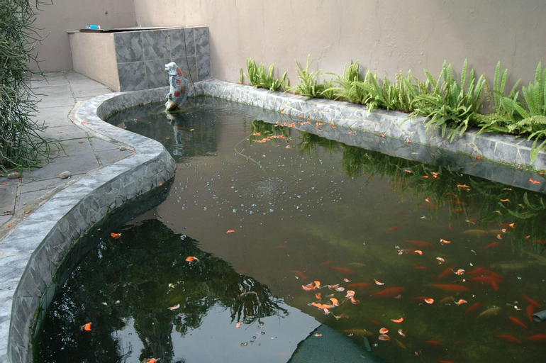 Rainbird B And B, Buffalo City