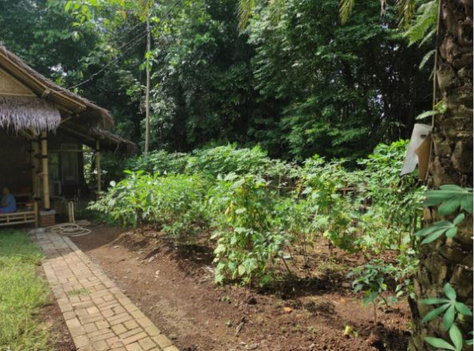 Exterior & Views 3, Bamboo House - Saung Cinta Bogor. Romantic cabin for couple, Bogor
