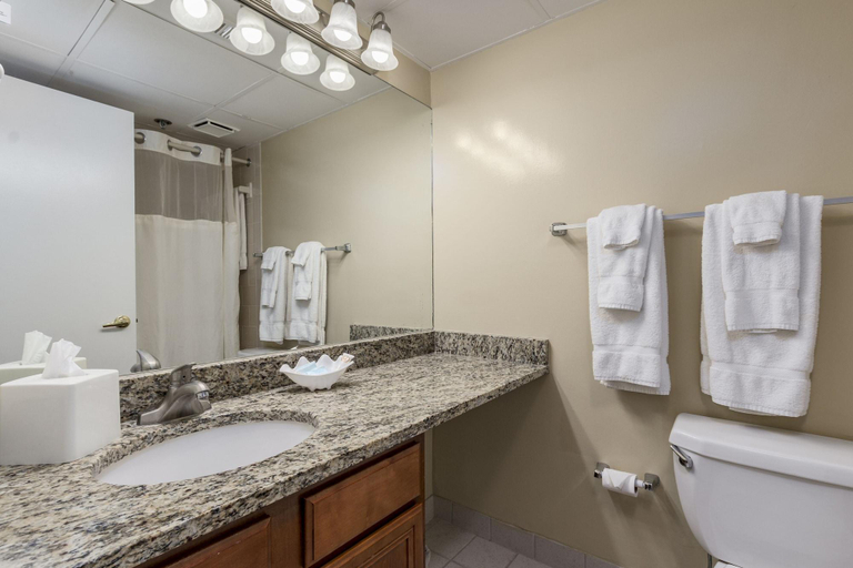 Bathroom 5, Princess Royale Oceanfront Resort, Worcester