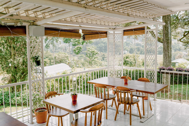 LOT449 Glass House - Food & Drinks